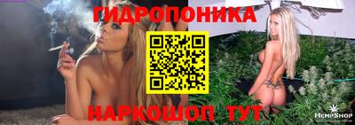 Альфа ПВП Вязники